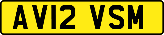 AV12VSM