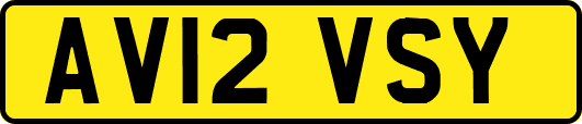 AV12VSY