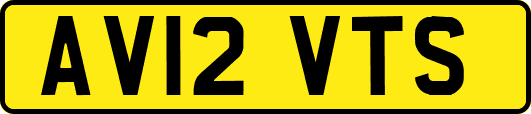 AV12VTS