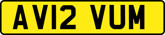 AV12VUM