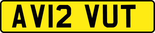 AV12VUT