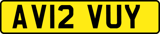AV12VUY