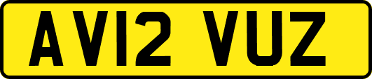 AV12VUZ