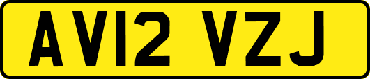 AV12VZJ