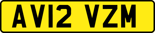 AV12VZM
