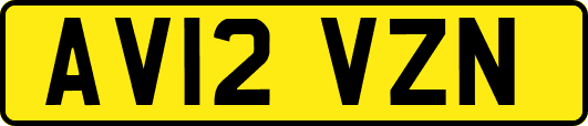 AV12VZN