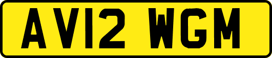 AV12WGM