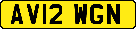 AV12WGN
