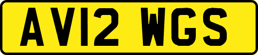 AV12WGS
