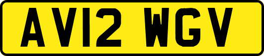 AV12WGV
