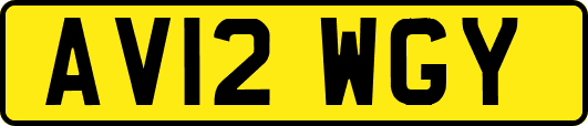 AV12WGY