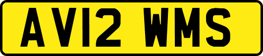 AV12WMS
