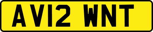 AV12WNT