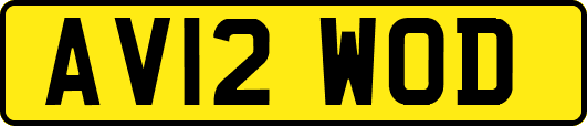 AV12WOD