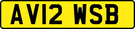 AV12WSB