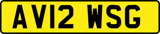 AV12WSG