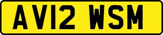 AV12WSM