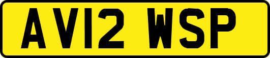 AV12WSP