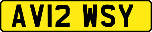 AV12WSY