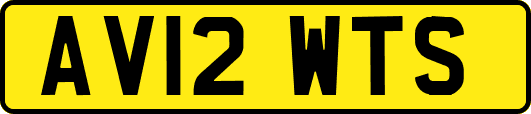 AV12WTS