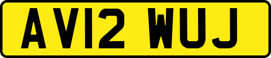 AV12WUJ