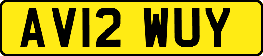AV12WUY