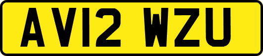 AV12WZU