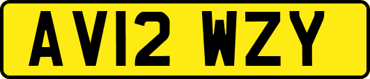 AV12WZY