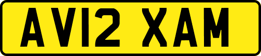 AV12XAM