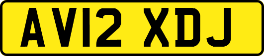 AV12XDJ