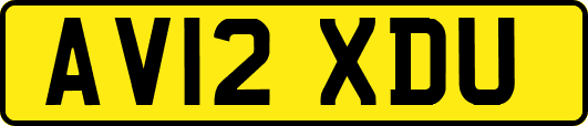 AV12XDU