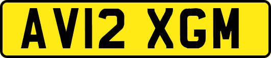 AV12XGM