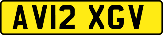 AV12XGV