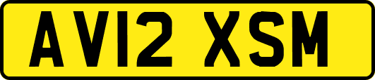 AV12XSM