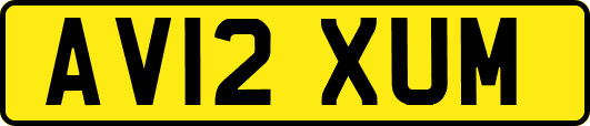 AV12XUM