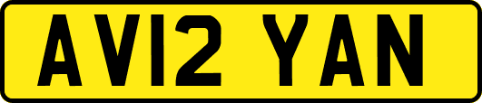 AV12YAN