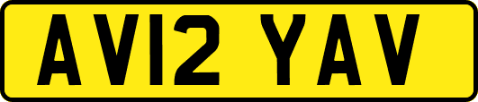AV12YAV