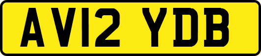 AV12YDB