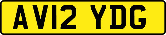 AV12YDG