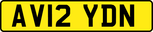 AV12YDN