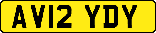 AV12YDY