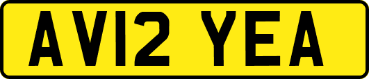 AV12YEA