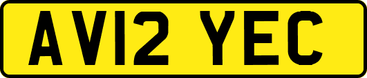 AV12YEC