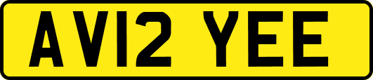 AV12YEE