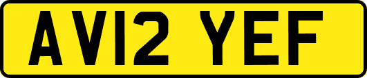 AV12YEF