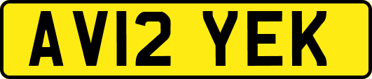 AV12YEK