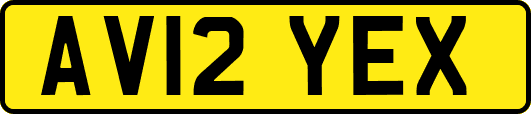 AV12YEX
