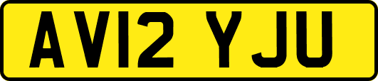 AV12YJU