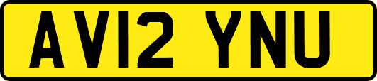 AV12YNU