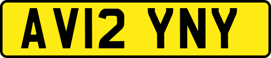 AV12YNY